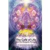 Amazon Publishing Hub The Cafe of Life and The Mosquito Principle
