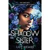 Sourcebooks Explore The Shadow Sister