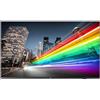 Philips Professional Display 65BFL2214/12
