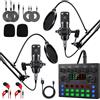 ALPOWL Pacchetto attrezzatura podcast per 2 interfaccia audio microfono cardioide BM800