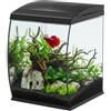 AQPET CurVe Acquario in Vetro Curvo 35L con Filtro Superiore Integrato e LED 6W - Acquario di Design da Scrivania con Pompa Inclusa e Coperchio per Distributore Automatico Mangime (Nero)