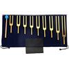 DRELD Solfeggio Tuning Set Forks Golden 9 Tuning Forks per Sound DNA Healing, Vibrazioni, Relax Mind Body con Martello in Silicone e Borsa (174 Hz, 285 Hz, 396 Hz, 417 Hz, 528 Hz, 639 Hz, 852 Hz, 963 Hz)