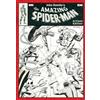 IDW Publishing John Romita's The Amazing Spider-Man Vol. 2 Artisan Edition