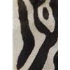 CREATESPACE Journal: Zebra Skin: Lined Journal, 120 Pages, 5.5 x 8.5, Zebra, Soft Cover, Matte Finish: Volume 5