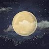 VIDOL Long Night Moon