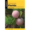 Roger L. Hammer Foraging Florida (Tascabile) Foraging Series