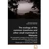 Mark Rayan Darm The ecology of the common treeshrew and other small (Tascabile)