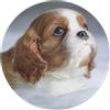 InOmak Faccia del Cavalier King Charles Spaniel, tappetino per mouse rotondo, tappetino per mouse con base in gomma antiscivolo da 8 pollici