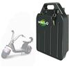 WILLQ Batteria al Litio Sostitutiva 48V/60V 10Ah 15Ah 17.5Ah 20Ah 22.4Ah 25.6Ah 28Ah per monopattini elettrici Adatta Anche a Biciclette e Moto elettriche a Due Ruote