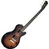 Rocktile L-100 SB Chitarra Elettrica Sunburst, Generale, Modello: L-100 SB | Peso: ca. 3, 5 kg, Numero di corde: 6, Orientamento: Destrorso, Incluso cavo chitarra, Corpo, Forma corpo: stile single cut