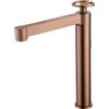 GALYON -IMEX- Monocomando per lavabo alto - Serie Olimpo Cromo - Cartuccia Ceramica Ø26 mm (Oro Rosa)