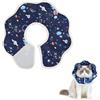 Rainway Collarette per gatti, taglia S, 16-23 cm, regolabile, collare di protezione per gattini e gatti piccoli, anti-leccare e anti-graffio, collare di recupero cono per gatti e cuccioli