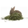 Generico Erba Medica (Alfa Alfa) 5 kg | Fieno Naturale Erba Medica | Ricco di Fibre, Proteine e Calcio | Ideale Leporoidi, Conigli, Criceti, Piccoli Roditori | Miglior Qualità - Crescita, Gestazione, Benessere