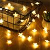 AOOTE LED Fiabesche Batteria, 2m 20 LED Catena Luminosa, Bianco Caldo Luci, per Esterno ed Interno, 2AA Batteria, Luci Decorative per Giardino, Camera, Balcone, Feste, Terrazzo, Natale e Matrimonio