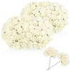 com-four® 120 fiori di carta, 20 bouquet con 6 fiori ciascuno, rose decorative bianche, per fai da te, ghirlande, decorazione tavola, matrimonio, confezioni regalo (20 fasci bianchi)