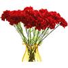 Rikyo Bouquet da 50 cm, 10 garofani, fiori artificiali non sbiadiscono, petali di seta di garofano, fiori finti per sempre, per matrimoni, feste, casa, ufficio, ristorante, centrotavola, decorazione (rosso)