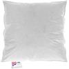 Homescapes, cuscino con imbottitura interna in piume d'oca, White, 80 x 80 cm