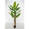 LIGUORO SHOP Pianta Artificiale di Banano con Corteccia Naturale, Foglie in PVC, Varie Misure, per Interni Residenziali e Commerciali (Chiquita 180 cm - 3 tronchi)