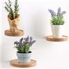 GAOUTO Set di 3 mensole da parete rotonde Ø 15 cm in legno per piante galleggianti decorative per vaso di fiori o vaso