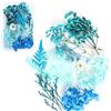 TTBDDM 1 Scatola Fiori Pressati Misti Fai da Te, Fiori Secchi Naturali, Fiori Secchi Veri, Naturali Fiori Pressati Secchi, per Creare Segnalibri, Biglietti da Visita e Scrapbooking (Blu)