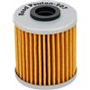 Road Passion 207 Filtro Olio 52010-0001 16510-35G00 Compatibile con Betamotor 250 300 / Kawasaki KX250 KX450 / LML Scooter 200 Star 4T / Suzuki EVO 250 300 FL125 RMX450 RM-Z250 RM-Z450 TU250X