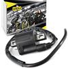 Area1 Bobina Accensione Scooter 1 Pin - Ricambio, Compatibile con Aerox, Jog, Neos, Explorer Race GT, Luxxon, Rivero