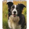 MXDLKSWPOH Tappetino per mouse per computer con base in gomma antiscivolo, tappetino per mouse con cane Mohado Border Collie, lavabile, tappetino per mouse da gioco, portatile, per ufficio, casa, 25 x 30 cm