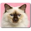 Destination Vinyl Ltd Confortevole Mat Mouse - Birmania Kitten Gatto Ragdoll 23.5 x 19.6 cm (9.3 x 7.7 Pollici) per Il calcolatore & Computer Portatile, Ufficio, Regalo, Base Antiscivolo - RM2825