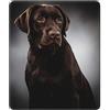 WiNwon Labrador Retriever - Tappetino per mouse con stampa, tappetino per mouse grande, tappetino per mouse personalizzato, tappetino per mouse con base in gomma antiscivolo, tappetino da scrivania