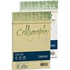 Favini A57N107 Calligraphy Nature 25 buste colore Oliva 120 gr/m2 formato 12x18 cm ideali per Inviti Partecipazioni Diplomi Menù Made in Italy