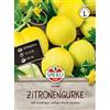 Sperli - Cetriolo da insalata, colore: limone