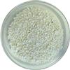 PLANT !T PLANT IT Perlite, Borsa 10 Litri