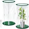 PORFOYO 2 mini serre 50 x 30 cm - tenda invernale per piante - Serra piccola per verdure, fiori e funghi, serra trasparente piccola in pellicola pop-up