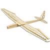 Dancing Wings Hobby 1.6M RC Balsa Glider Sunbird Airplane Building Kit con pellicola di copertura F1601B