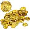 Aoriher 50 Monete di Plastica di Pirati Monete False di Tesoro da Pirati di Caccia al Tesoro per Feste (2,5 x 2,5 x 0,2 cm, Oro)