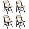 chairus Set di 4 Sedie da Pranzo Sedia da Cucina Sedie Rattan Sedia Pieghevole in Legno per Sala da Pranzo/Soggiorno, Nero