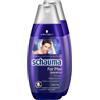 Schauma For Men Shampoo 2 Pack (2 x 400 ml) by Schauma