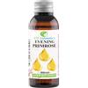 ETC Cosmetic`s Olio di enotera (Evening Primrose Oil) - 50 ml - Cura della pelle - 100% naturale