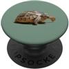 Tortoise Gifts And Land Turtle Tees by t Ritratto di una giovane tartaruga selvatica isolato PopSockets PopGrip Adesivo