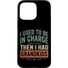 Funny grandma grandpa retro humor Custodia per iPhone 15 Pro Max Ho usato per essere in carica e poi avevo nipoti umorismo vintage