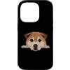 Akita Puppy Lover PS Custodia per iPhone 14 Pro Baby Akita Puppy Closeup Face Dog Ritratto