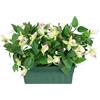 Flair Flower Fiore artificiale, fucsia in scatola, 29 cm, pianta ornamentale, pianta artificiale, pianta da interni, fiori di seta, decorazione falsa, doppio petali, pianta in vaso Hybrida Hort Flores