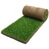 GreenInBox Ricarica Zolla 60x 40 in Vera Erba- Compatibile con Qualsiasi Vassoio 60x40, Lettiera Naturale per Training Cucciolo, Cani e Gatti in Appartamento