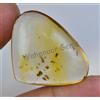 20.80 KT 100% Naturale Giallo Ambra Insetto Inclusione Certificato Loose Gemma