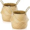 Lighterday Set di 2 vasi di fiori per interno, cestini in vimini intrecciati in giunco marino con maniglia, vaso di fiori, cesto per biancheria, cestino rotondo per riporre su mensole (XL 36 × 32 cm)