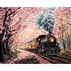 Hdfvlfdsa Kit Punto Croce Prestampato, Treno A Vapore Retrò In Funzione 40X50Cm Ricami Disegni Punto Croce Kit Da Ricamare Quadri Per Bambini Principianti, Set Kit Ricamo Punto Croce Schemi Completo S