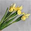 huaao 3PCS Fiori di Iris Artificiali Finti in Lattice, Steli Lunghi, Decorazione per Bouquet da Sposa Matrimoni Fai da Te, Composizioni Floreali Bouquet di Nozze Casa Feste Tavolo, Giallo