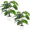Laelfe 2 Pezzi Pianta Finta da Interno Monstera - 12 Foglie Monstera Pianta Finta di Palma Tropicale Artificiale Per Decorazione Interna Esterna di Casa, Ufficio, Giardino, Soggiorno