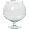 INNA-Glas Vetro Decorativo Rosko, con Corda, per Appendere, cilindrico/Rotondo, Trasparente, 25cm, Ø12cm - Vaso da Piante - Vaso di Vetro