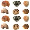 YUTOU Adesivi antiscivolo per vasca YUTOU 12 pezzi adesivi antiscivolo adesivi animali marini per vasca da bagno, bagno, scale piscina e cameretta （Conch）